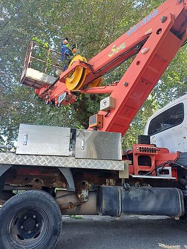 250: Автовышка на базе Kia с telescopic гидроподъёмником для высотных — 4