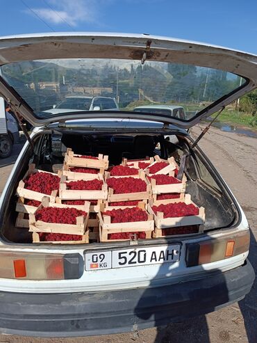 Малина: Малина Бесплатная доставка — 5