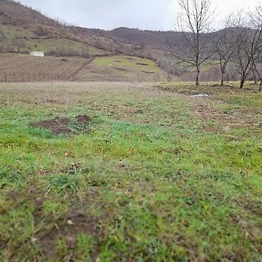 Torpaq sahələrinin satışı: Kənd təsərrüfatı — 6