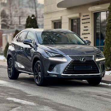 Lexus: Lexus NX: 2019 г., 2.5 л, Автомат, Гибрид, Внедорожник