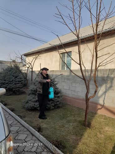 Спил деревьев, заготовка дров: Обрезка деревьев!!! Сезонная обрезка плодовых деревьев!!! Зима — 11