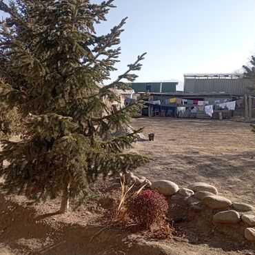 Продажа участков: 25 соток — 11