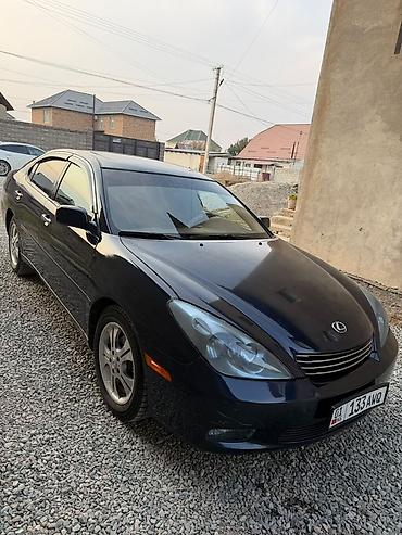 таёта эхо: Lexus ES: 2004 г., 3.3 л, Автомат, Газ, Седан — 4