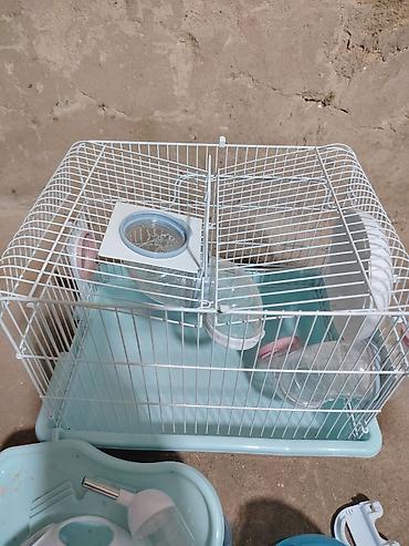 Hamster üçün tam set qəfəs - Ölçü: təxminən kiçik/orta (kompakt, asan