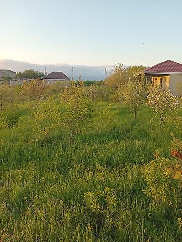 şağan torpaq: 6 sot, Tikinti, Mülkiyyətçi, Kupça (Çıxarış) — 10