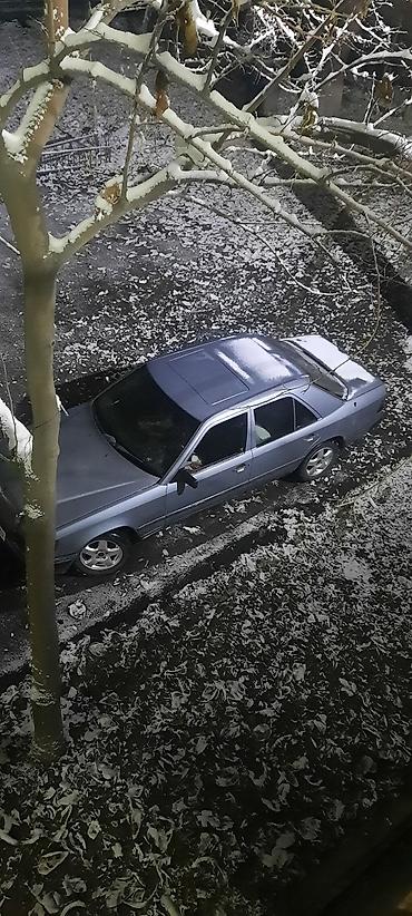 ms 16rs: Mercedes-Benz W124: 1986 г., 3 л, Автомат, Дизель, Седан — 4