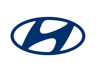 Hyundai Accent : 1.4 l | 2006 year Limousine