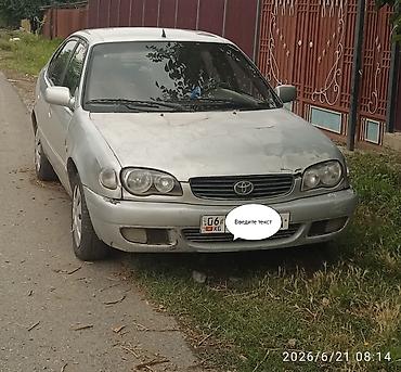 обвесы тойота: Toyota Corolla: 1999 г., 1.4 л, Механика, Бензин, Хэтчбэк — 4