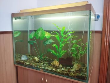 аквариумы: Б/у аквариум с тумбой 220л стекло 10мм. сделано все очень грамотно