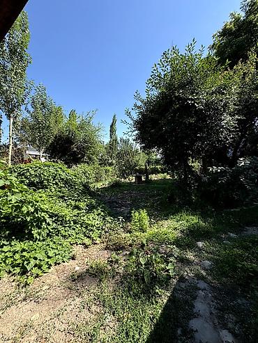 срочное: 📌В селе Беловодское срочно продаётся дом на участке 17 соток. ▪️Дом — 3
