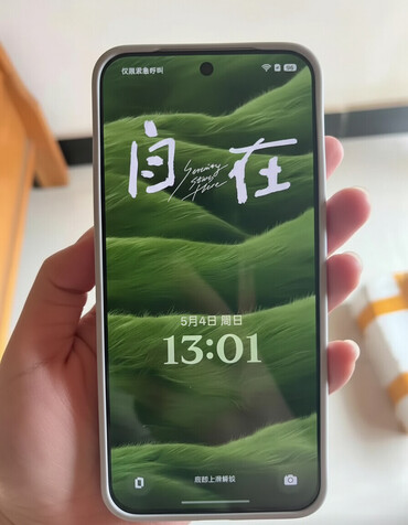 OnePlus: OnePlus 13", 256 GB, rəng - Boz — 1