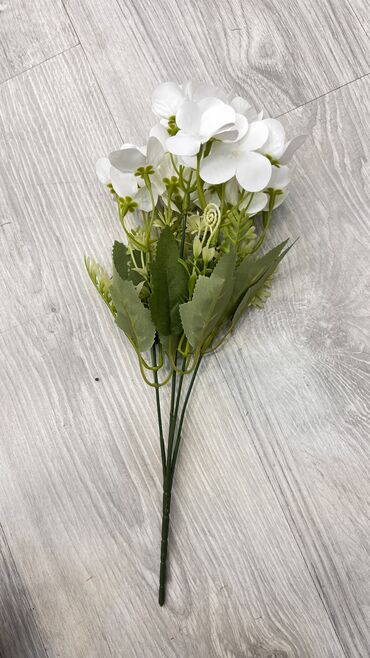 Süni güllər: Suni gullerin topdan perakenden satisi
5 azn baslayan qiymetler — 17