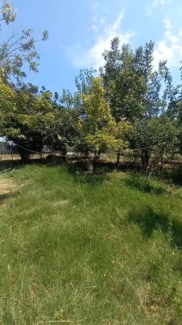 Həyət evləri və villaların satışı: 4 otaqlı, 3000 kv. m, Orta təmir -da lalafo.az — 11 Həyət evləri və villaların satışı: 4 otaqlı, 3000 kv. m, Orta təmir — 11