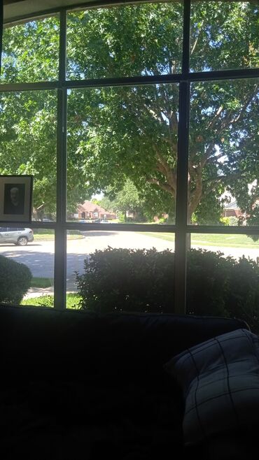 аренда помещений 35кв: Сдаю помещение район Моссовета. 25 м2. Первый этаж. Вход с