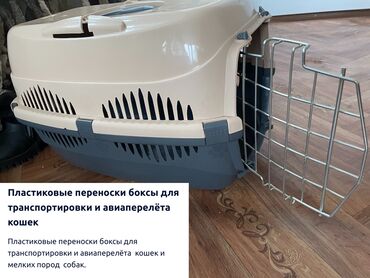 фризы в Кыргызстан | КОРОВЫ, БЫКИ: Пластиковые коробки-переноски для перевозки и авиаперевозок кошек и