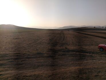 ev alqi satqisi zabrat 1: 100 sot, Kənd təsərrüfatı, Mülkiyyətçi, Kupça (Çıxarış)