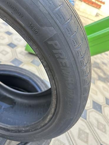 205 40 17: Zextour Premium LS845 yay–yaylı avtomobil şinləri - Ölçü: 235/45 R17 — 2