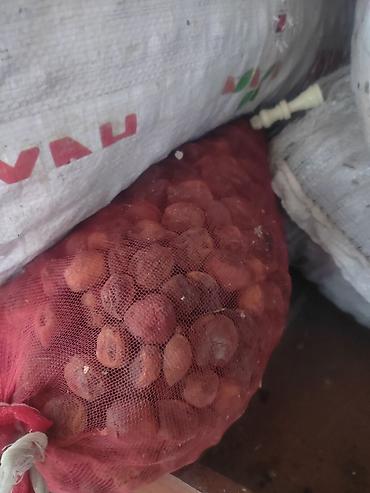 Сухофрукты, орехи, снеки: Сушёный абрикос (урюк/кайса без сиропа) - Натуральная сушка на — 6