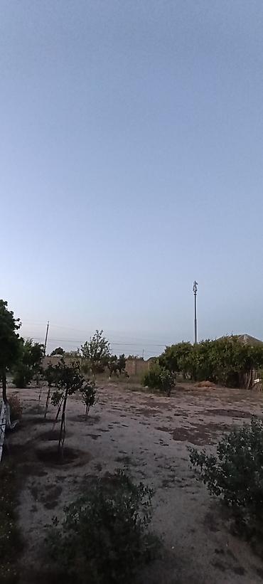 Torpaq sahələrinin satışı: 10 sot, Tikinti, Maklerlər narahat etməsin, Kupça (Çıxarış) — 5