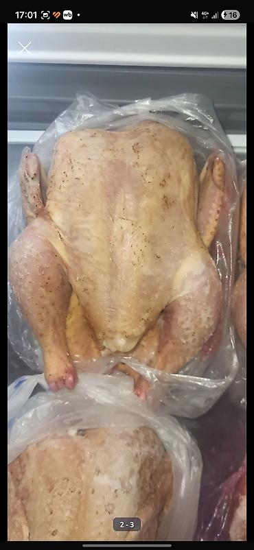 Продукты питания: Домашняя курица кг 320 доставка по бишкеку,сокулуку и самовывоз — 1