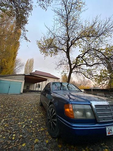 mersedes e class: Mercedes-Benz W124: 1989 г., 2.3 л, Механика, Бензин, Седан — 3