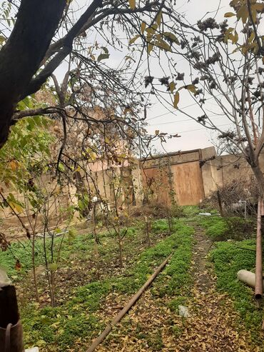 Torpaq sahələrinin satışı: 15 sot, Tikinti, Maklerlər narahat etməsin, Kupça (Çıxarış), Bələdiyyə — 11