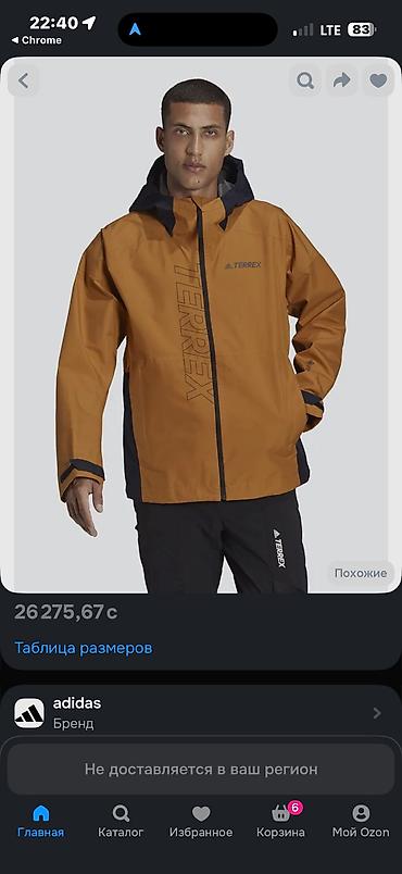 Куртки: Мужская горная куртка adidas Terrex с мембраной GORE‑TEX adidas — 1