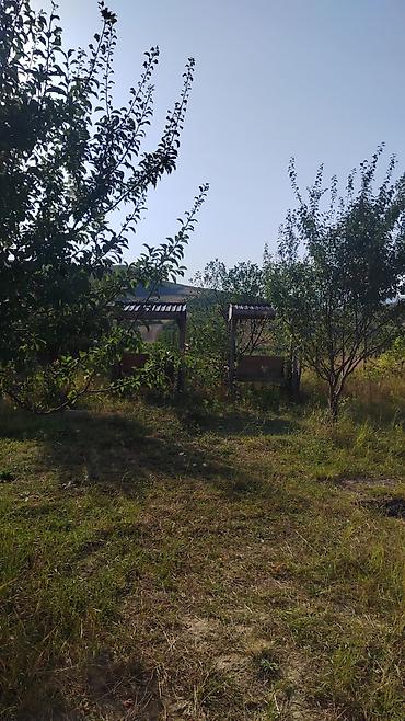 Продажа дач: Шемахы, 1100 м², 7 комнат, С бассейном — 4