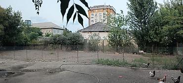 Torpaq sahələrinin satışı: 3 sot, Tikinti, Barter mümkündür, Kupça (Çıxarış) -da lalafo.az — 1 Torpaq sahələrinin satışı: 3 sot, Tikinti, Barter mümkündür, Kupça (Çıxarış) — 1