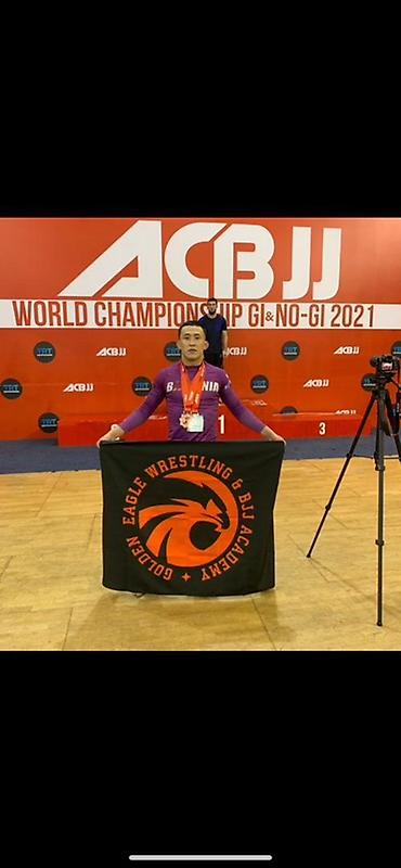 Toyota: Toyota RAV4: 2017 г., 2.5 л, Автомат, Бензин, Кроссовер — 15