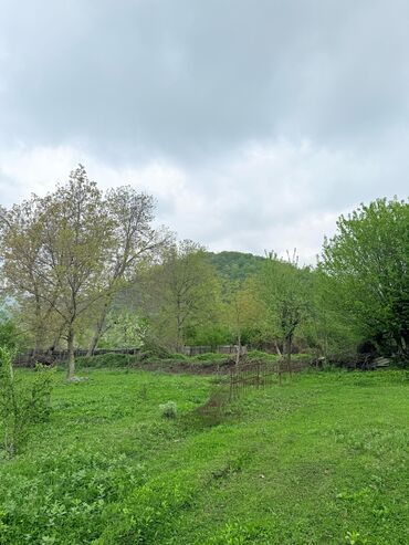 Torpaq sahələrinin satışı: 15 sot, Tikinti, Mülkiyyətçi, Kupça (Çıxarış) — 18