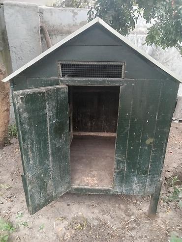 Taxta toyuq/broyler daxması - Dam: ikitərəfli metal/profilli örtük – lalafo.az -da Taxta toyuq/broyler daxması - Dam: ikitərəfli metal/profilli örtük –