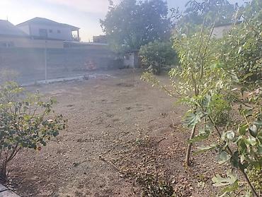 sarayda torpaq alqi satqi: 2 otaqlı, 3 kv. m — 1