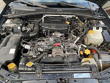 Subaru: Subaru Forester: 2005 г., 2 л, Механика, Газ, Кроссовер — 8