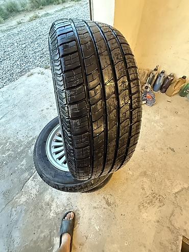 bmw e60 m: Bmw e39 zabod diskleri tekerleri yaxwi veziyyetdedir. Cat svarka — 6