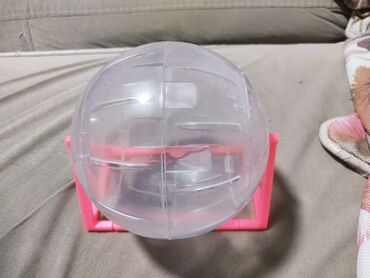 Oyuncaqlar: Kiçik gəmiricilər üçün qaçış topu və daşıma konteyneri seti. - — 1