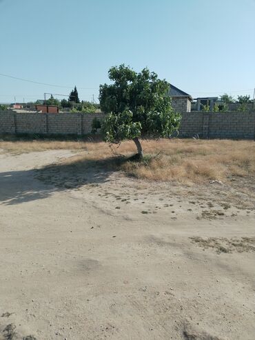 Torpaq sahələrinin satışı: 11 sot, Tikinti, Mülkiyyətçi, Kupça (Çıxarış)