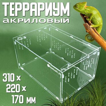 животные в зоомагазине: Продаю новый, акриловый Террариум (орг стекло 3 мм), с верхним