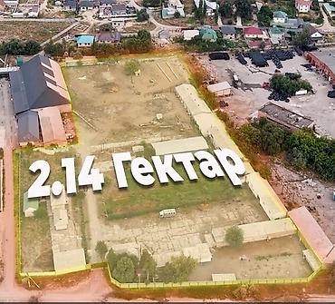 214 соток, Для строительства, Договор дарения, Красная книга, Тех паспорт