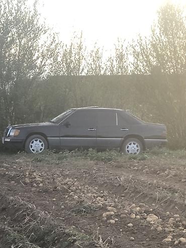 сиз 82 1: Mercedes-Benz E-Class: 1991 г., 2 л, Кол менен иштөөчү, Седан — 5