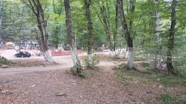yevlax torpaq: 170 sot, Biznes üçün, Mülkiyyətçi, Kupça (Çıxarış)