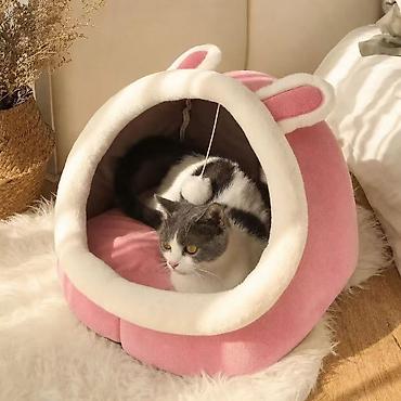 котята простые: 🐱 Домик для кошки — 1990 сом Уютный и удобный домик для вашего питомца — 9