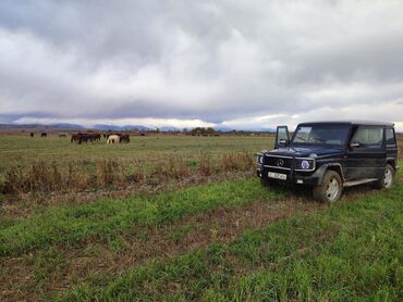 жигули резина: Mercedes-Benz G-Class: 1989 г., 3 л, Механика, Дизель, Жол тандабас