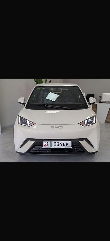 BYD: BYD Seagull: 2025 г., Робот, Электромобиль, Хэтчбэк — 1