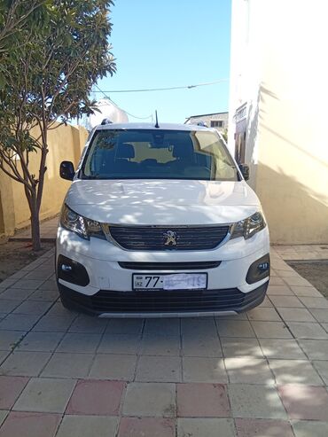 Peugeot: Peugeot : 1.5 l | 2023 il 55000 km Van/Minivan — 10