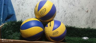 Мячи: Волейбол по 500 
остались 2 шт