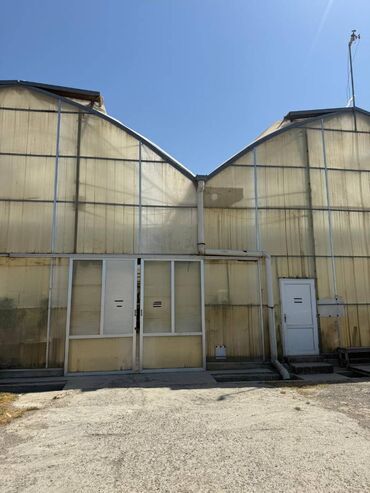 Kommersiya daşınmaz əmlakının satışı: Satılır: 10 hektar çıxarışlı torpaq – müasir istixana və kəsim sahəsi — 5