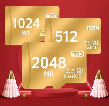 Набор карт памяти PRO, 128 МБ/256 МБ/512 МБ/1024 МБ/2048 МБ, класс 10