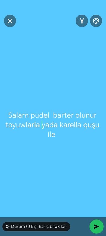 Akvarium aksessuar və ləvazimatları: Pudel