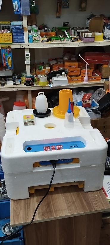 Kənd təssərüfatı avadanlığı: Inkubatorlarin birinci əl satişi unversal inkubator inkubator 196 — 2